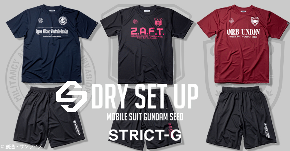 STRICT-G『機動戦士ガンダムSEED DESTINY』半袖Tシャツ デスティニーガンダム シルエット | 機動戦士ガンダムSEED  DESTINY ファッション・アクセサリー | アニメグッズ ・おもちゃならプレミアムバンダイ｜バンダイナムコグループの公式通販サイト